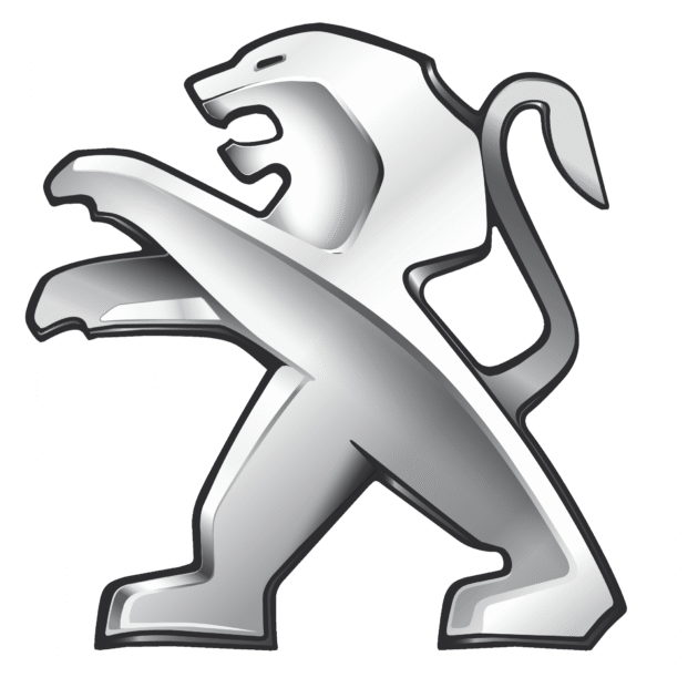 cover clé Peugeot